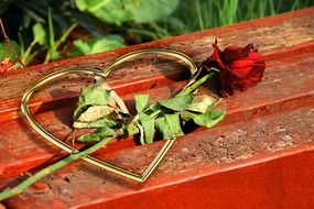 withered rose and heart form frame on bench outdoor