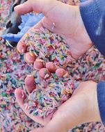 multi-colored rice in the hands of a child