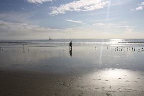 Kissing on the beach