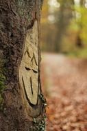 carved smile on a tree in autumn