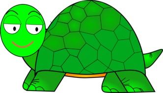 green turtle cartoon drawing