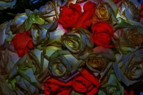 painted rose flowers