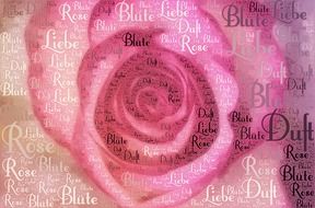 Rose blossomes clipart