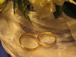 gold rings for the wedding ceremony