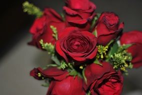 stylish bouquet of burgundy roses