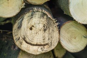 Picture of face on a wood