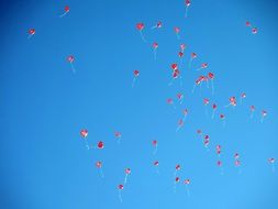 Colorful balloons in the blue sky