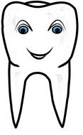drawn cartoon tooth
