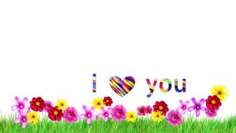 inscription i love you over a flower meadow