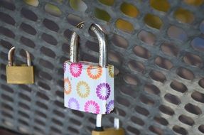 love locks on the lattice close-up