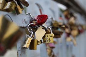 love locks on art bridge metal fence