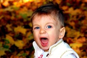 little boy in the autumn park