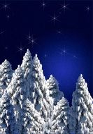 Christmas card with snowy fir trees