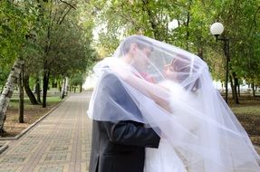 The kiss of the bride and groom under the veil