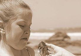 portrait of the girl on a beach