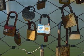 Locks of different shapes on the grid