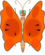 graphic image of an orange butterfly