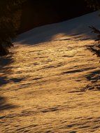 snowy trail in the forest