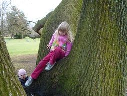 little girl on a huge tree in autumn