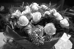 roses flowers black and white foto