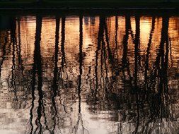 reflection of trees in water at sunset