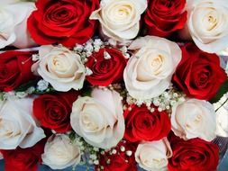 bouquet with red and white roses