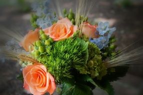 closeup photo of the rose bouquet