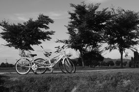bike landscape