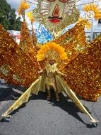 caribana costume