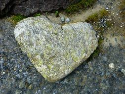 stone like heart