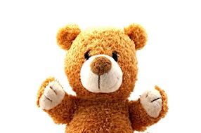 brown teddy bear on white background