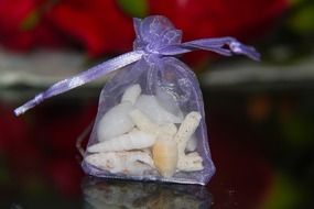 shells in a purple tulle bag