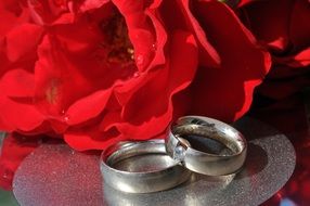 two wedding rings on a background of red flowers