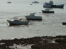 different boats off the coast