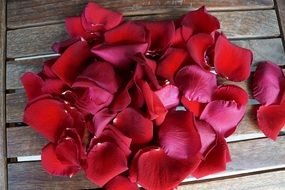 rose red petals on wooden board