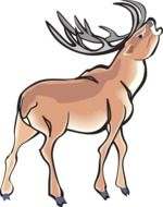 angry deer wild animal drawing
