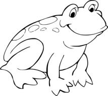 amphibian drawing