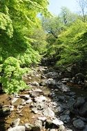 valley spring