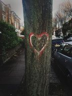 street tree with heart