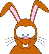 bunny cartoon drawing