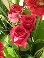 Bouquet of red roses in the garden