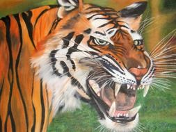 Angry tiger head closeup