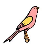 pink bird drawing