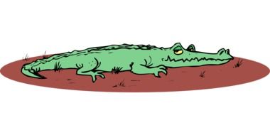 graphic image of a green crocodile in the swamp