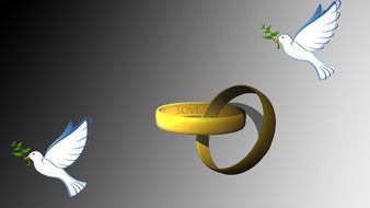 two doves and wedding rings, digital art