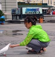 little girl feeding pigeon from hand