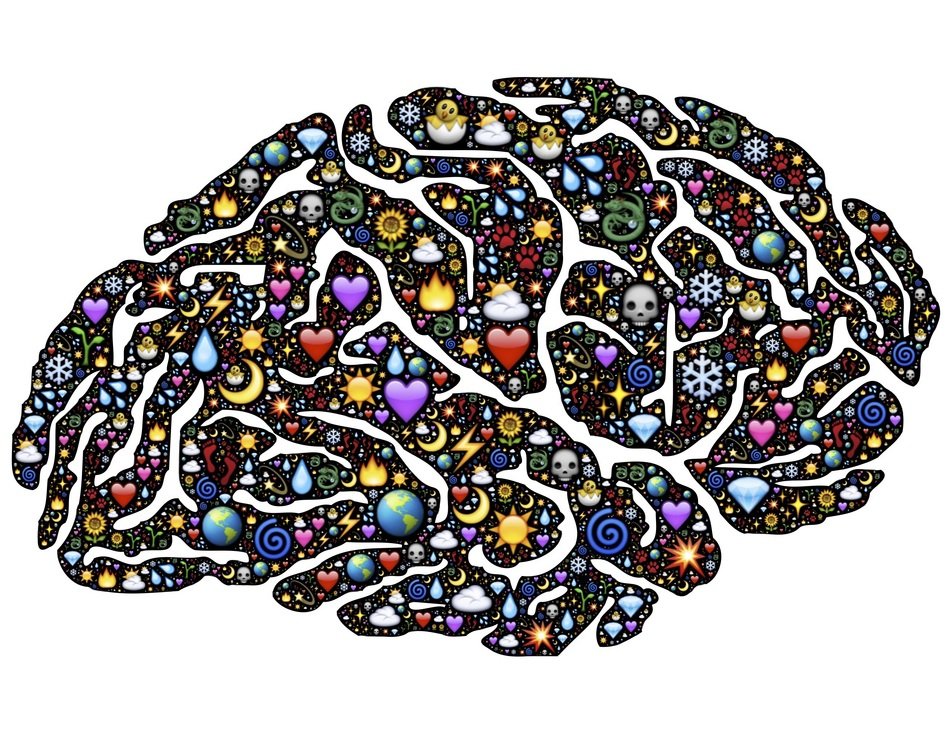 color brain drawing