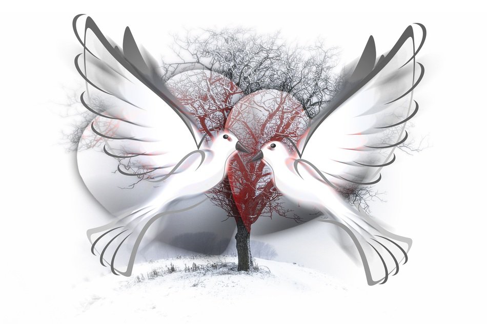 peace dove on the tree background