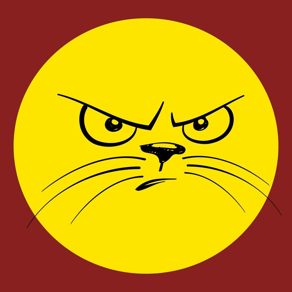 funny smiley with whiskers