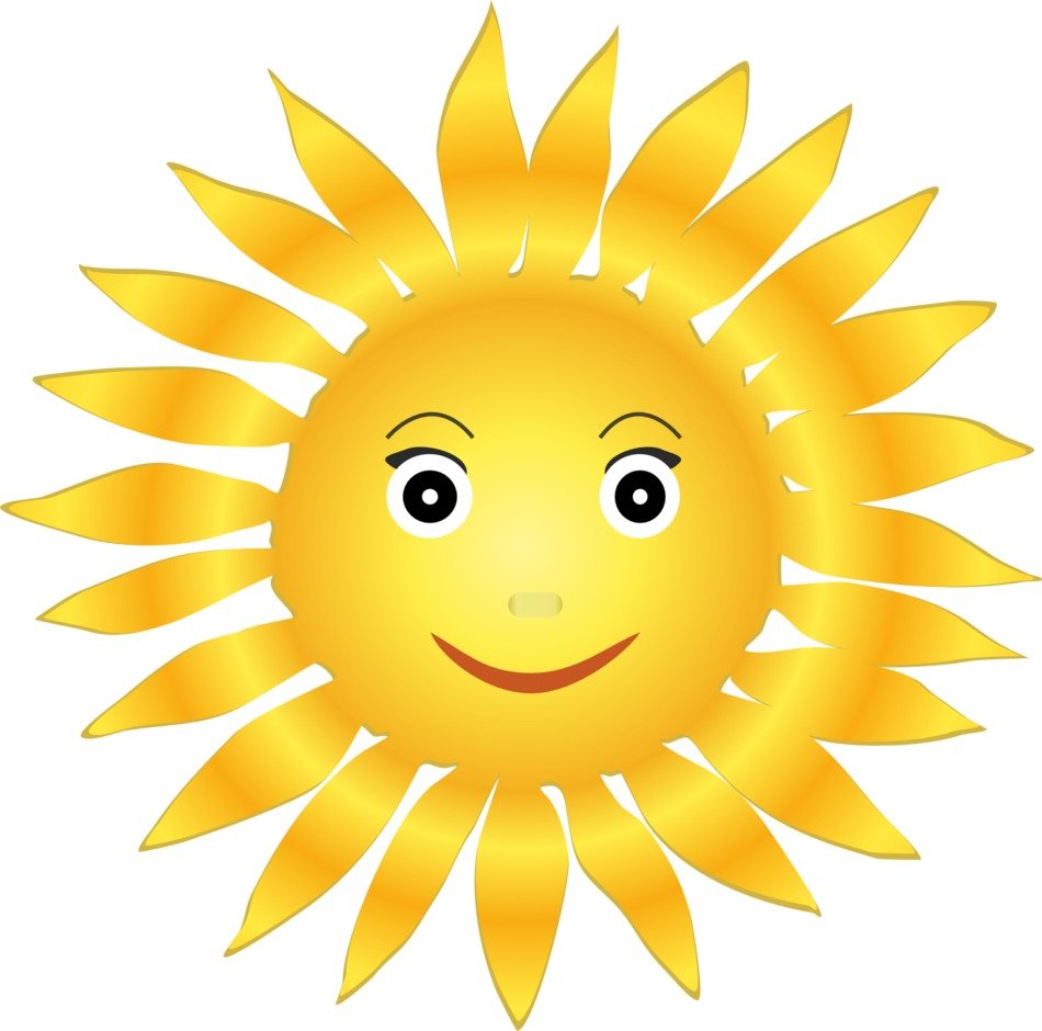 merry sun with petals as a graphic image